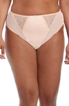 Elomi Plus Size Charley High Leg Brief Panty El4386 In Ballet Pink