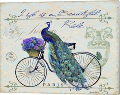 Metaverse Peacock On Bicylce Ii By Jean Plout Canvas Art In Multi