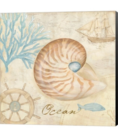 Metaverse Nautical Shells Iii By Cynthia Coulter Canvas Art In Multi