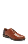Naot Plain Toe Derby In Maple Lthr/ Walnut/ Toffee