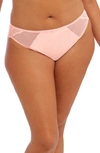 Elomi Charley Full Figure Mesh & Lace Brazilian Briefs In Ballet Pink