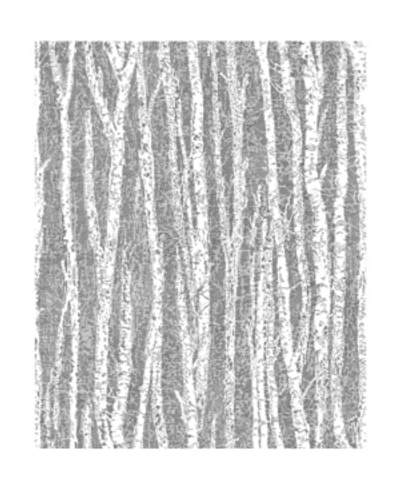 Advantage 20.5" X 369" Flay Birch Tree Wallpaper In Gray