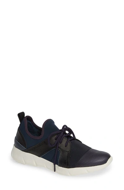 Otbt Transfer Sneaker In New Blue