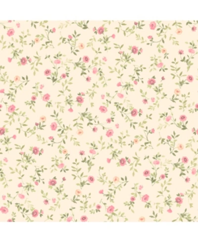 Advantage 20.5" X 369" Catlett Floral Toss Wallpaper In Pink