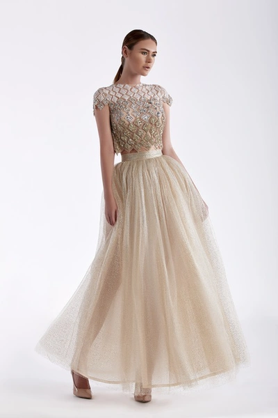 Edward Arsouni Tulle Skirt And Embroidered Top