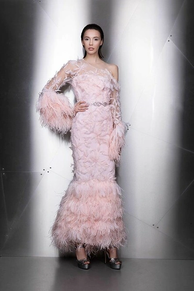 Ziad Nakad Feathered One Shoulder Gown In Pink