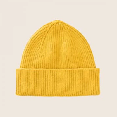 Le Bonnet Classic Beanie In Yellow