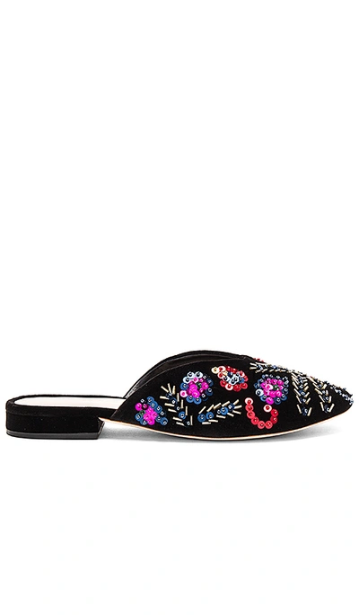 Loeffler Randall Quin Velvet Embellished Mules In Black Multi