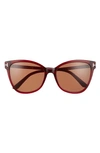 Tom Ford Ani 58mm Gradient Cat Eye Sunglasses In Red Other Brown