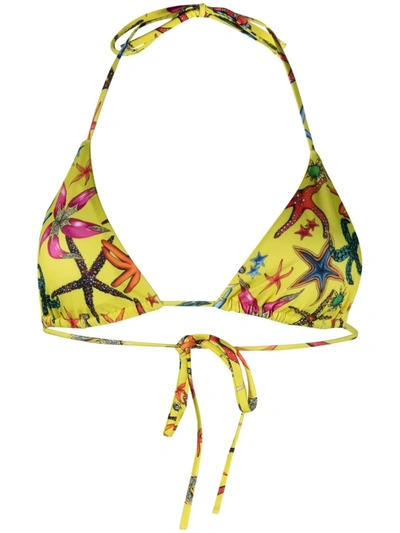 Versace Tresor De La Mer Print Lycra Bikini Top In Multicolor