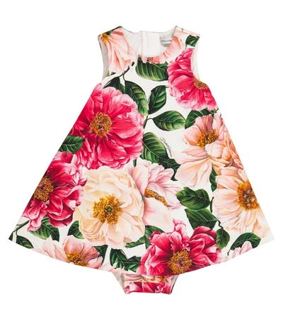 Dolce & Gabbana White Dress For Babygirl With Camellias