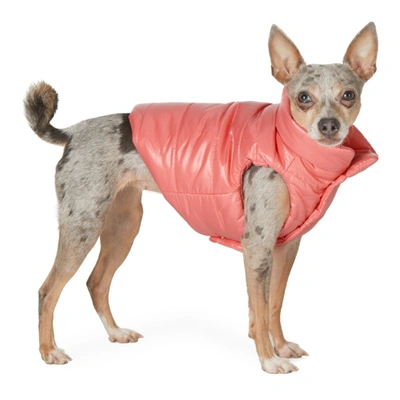 Moncler Genius Pink Poldo Dog Couture Edition Mondog Jacket In 539 Pink