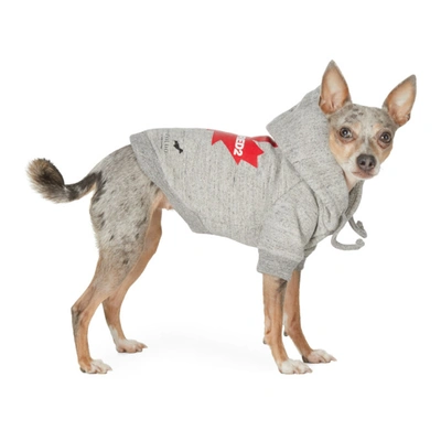 Dsquared2 Grey Poldo Dog Couture Edition Maple Ottawa Hoodie In 2140 Grey