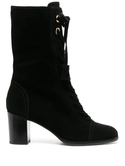 Alberta Ferretti Ankle Lace-up Boots In Black