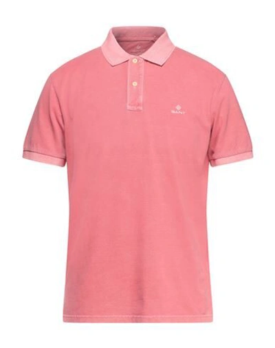 Gant Polo Shirts In Pink