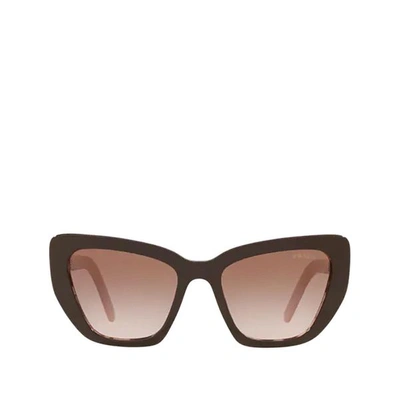 Prada Pr 08vs Brown / Spotted Pink Sunglasses