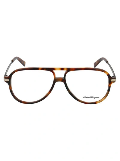Ferragamo Sf2855 Glasses In 214 Havana