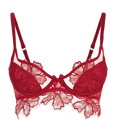 Agent Provocateur Seraphina Lace Bra In Red | ModeSens
