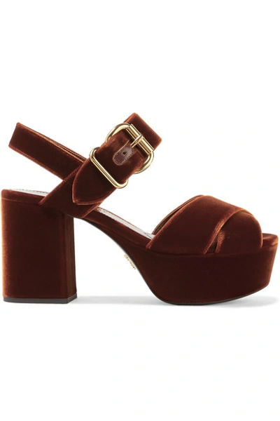 Prada Velvet Platform Sandals In Chocolate