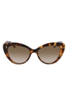 Cutler And Gross 56mm Cat Eye Sunglasses In Turtle/ Brown Gradient
