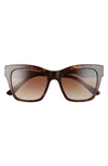 Dolce & Gabbana 53mm Gradient Cat Eye Sunglasses In Havana/ Brown Gradient