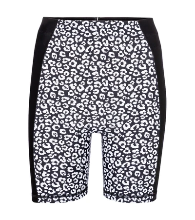 Adam Selman Sport Contour High-rise Shorts In Black