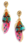 Gas Bijoux Small Sao Feather Earrings In Multi Fuschia