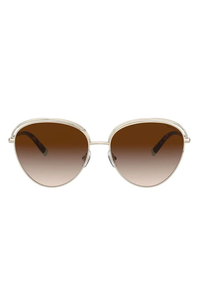 Tiffany & Co Phantos 58mm Gradient Round Sunglasses In Pale Gold/ Brown Gradient