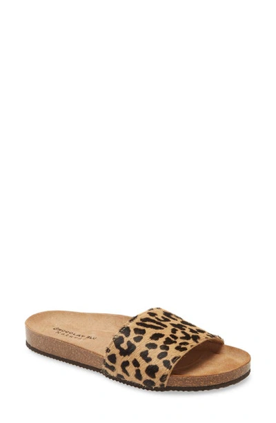 Chocolat Blu Natalia Slide Sandal In Leopard Print Calf Hair