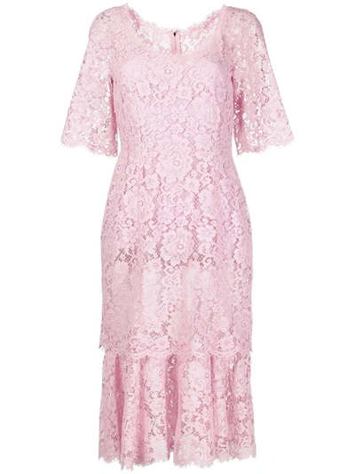 Dolce & Gabbana Lace Midi Dress With Ruffle Detailing In Pink