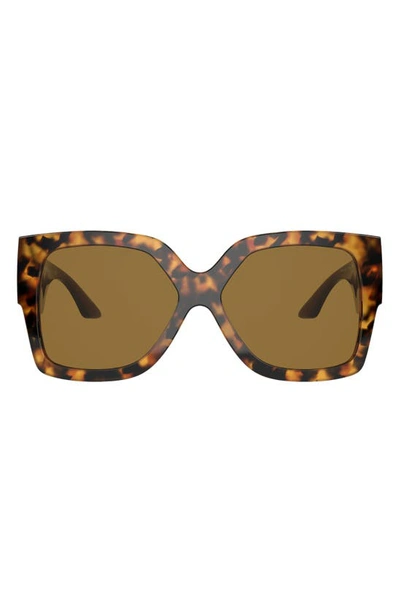Versace 59mm Rectangular Sunglasses In Havana/ Bronze