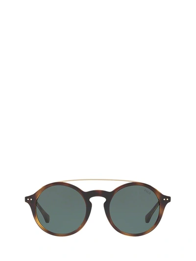 Polo Ralph Lauren Pilot Round Frame Sunglasses In Brown