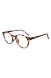 Fifth & Ninth Chandler 48mm Blue Light Filtering Glasses In Brown