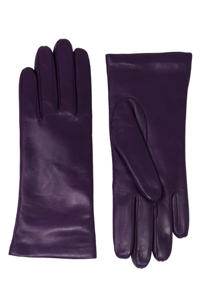 Nicoletta Rosi Cashmere Lined Lambskin Leather Gloves In Purple
