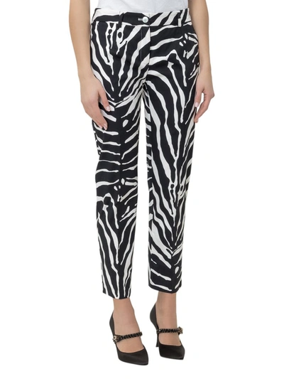 Dolce & Gabbana Zebra Printed Pants In Multi