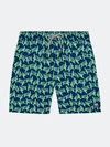 Tom & Teddy Mens Navy + Green Turtles Swim Trunks In Blue