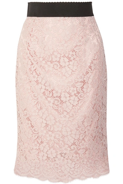 Dolce & Gabbana Corded Cotton-blend Lace Midi Skirt In Pastel Pink
