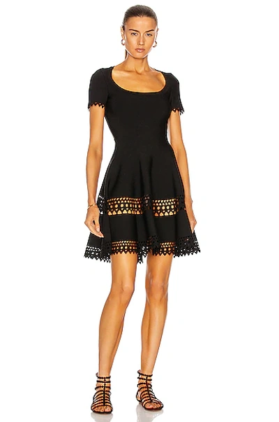 alaia vienne midi dress ALAA Vienne Midi Dress in Aubergine