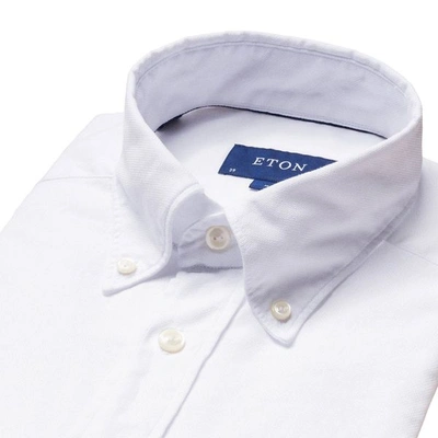 Eton Contemporary Fit White Royal Oxford Shirt 01 White