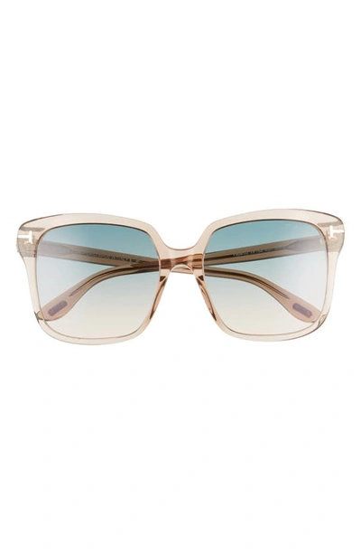Tom Ford Faye 56mm Gradient Square Sunglasses In Brown/ Blue