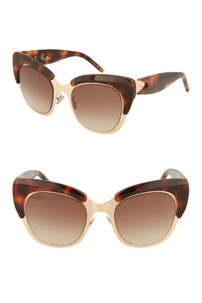Pomellato 49mm Cat Eye Sunglasses In Avana Brown