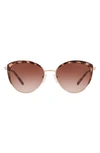 Michael Kors 56mm Gradient Cat Eye Sunglasses In Rose Gold/ Brown Clear
