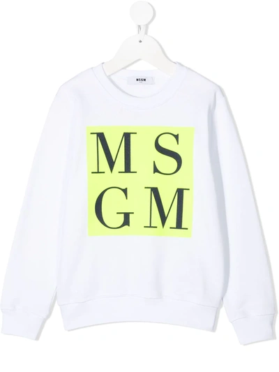 Msgm Teen Box Logo-print Cotton Sweatshirt In White