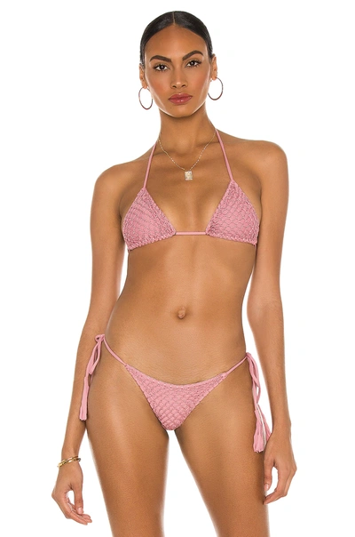 Acacia Humuhumu Crochet Bikini Top In Petal