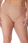 Elomi Plus Size Charley High Leg Brief Panty El4386 In Fawn