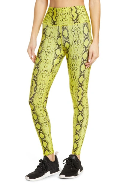 Terez Lime Faux Python Embossed Leggings In Lime Python