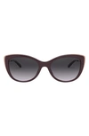 Michael Kors 55mm Gradient Cat Eye Sunglasses In Cordovan/ Dark Grey Gradient