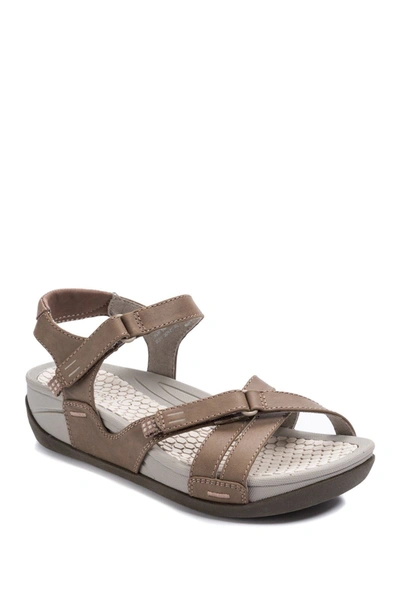 Baretraps Women's Danny Sporty Sandals Women's Shoes In Mushroom