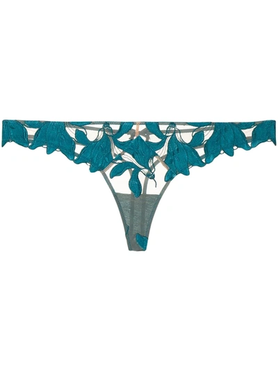Fleur Du Mal Lily Velvet-trimmed Embroidered Stretch-tulle Thong In Turquoise