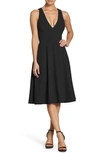 Dress The Population Catalina Fit & Flare Cocktail Dress In Black